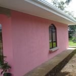 casa-19(4)